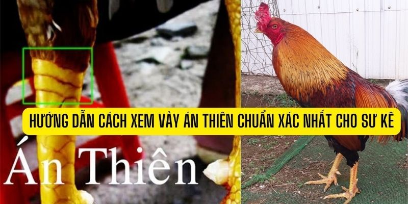 Vảy Án Thiên