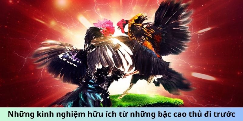 Những kinh nghiệm hữu ích từ những bậc cao thủ đi trước