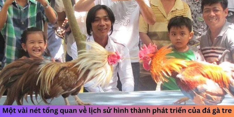 Một vài nét tổng quan về lịch sử hình thành phát triển của đá gà tre